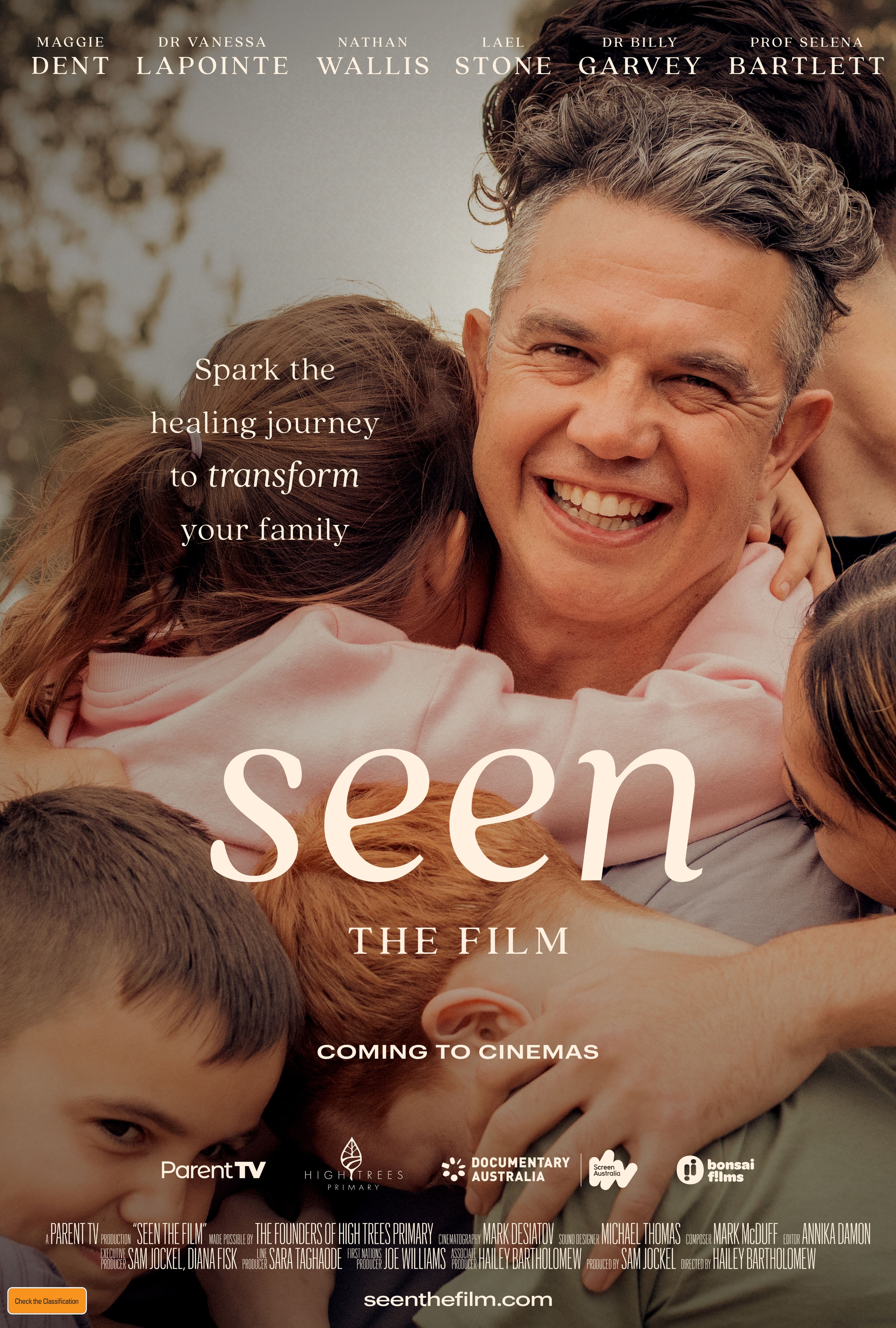 Seen — the film poster